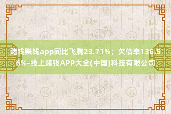 赌钱赚钱app同比飞腾23.71%；欠债率136.56%-线上赌钱APP大全(中国)科技有限公司