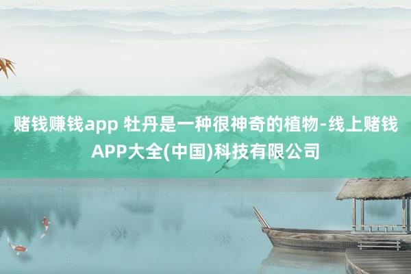 赌钱赚钱app 牡丹是一种很神奇的植物-线上赌钱APP大全(中国)科技有限公司